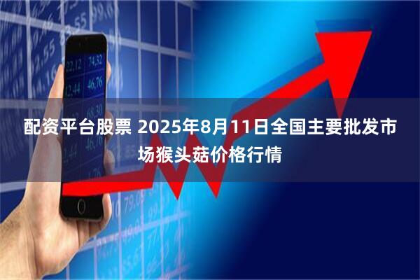配资平台股票 2025年8月11日全国主要批发市场猴头菇价格行情