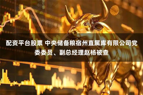 配资平台股票 中央储备粮宿州直属库有限公司党委委员、副总经理赵杨被查