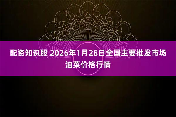 配资知识股 2026年1月28日全国主要批发市场油菜价格行情