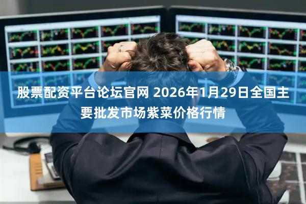 股票配资平台论坛官网 2026年1月29日全国主要批发市场紫菜价格行情