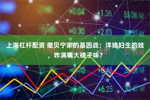 上海杠杆配资 撒贝宁家的基因战：洋媳妇生的娃，咋满嘴大碴子味？