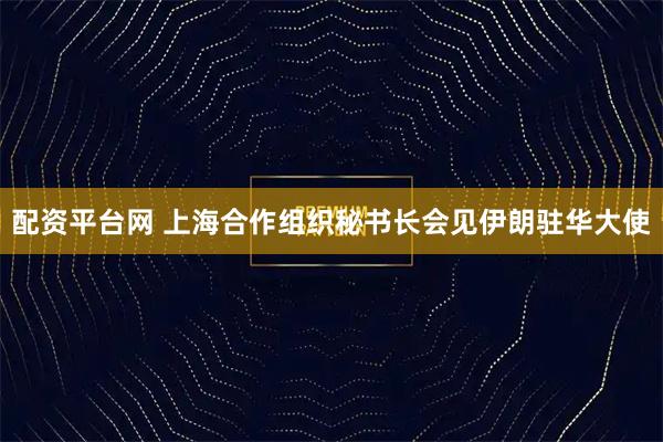 配资平台网 上海合作组织秘书长会见伊朗驻华大使
