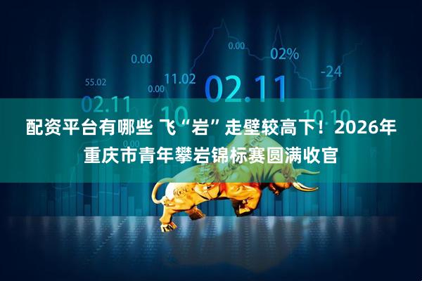 配资平台有哪些 飞“岩”走壁较高下！2026年重庆市青年攀岩锦标赛圆满收官